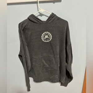 U of MN hooded gray sweatshirt unisex size Large. Brand Presence brand.